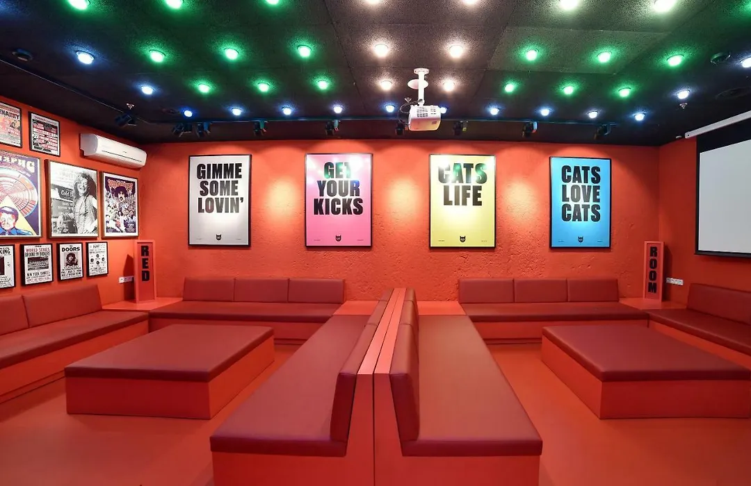 Cats Hostel Madrid Sol-1